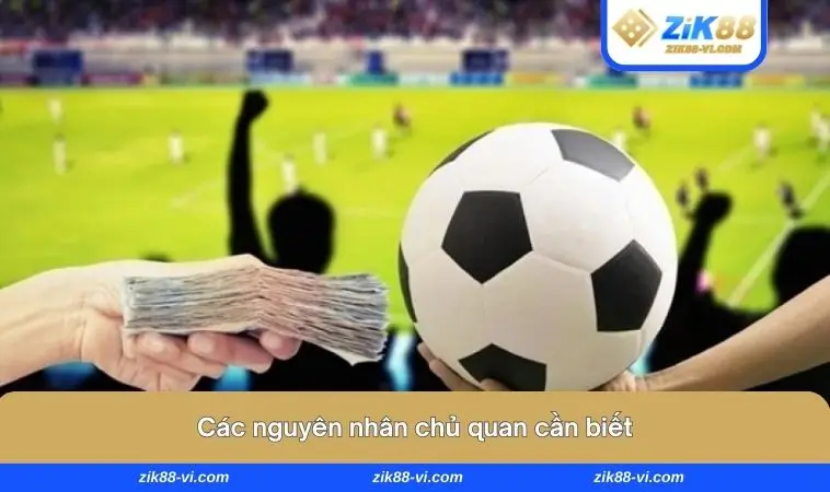 Các nguyên nhân chủ quan cần biết