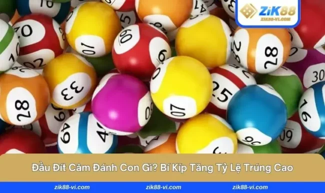 đầu đít câm đánh con gì